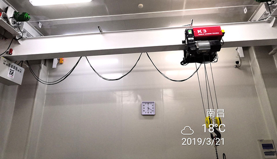 1000KG Capacity Pharma Clean Room Cranes IP54 Protection Grade