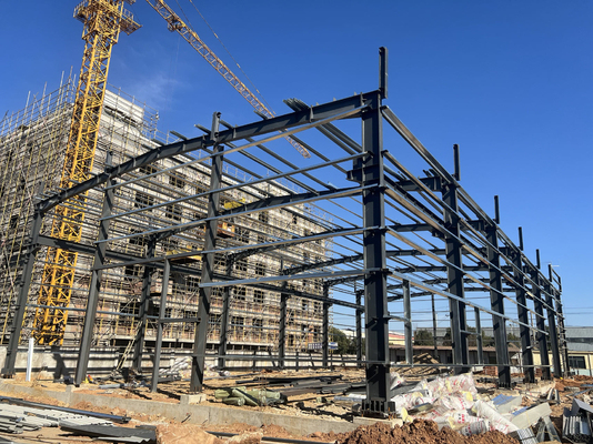 Global Steel Structure Canopy With Customizable Tile