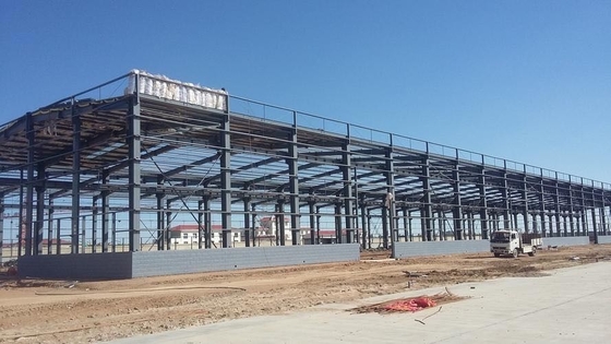 Global Steel Structure Canopy With Customizable Tile