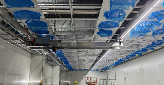 Cleanroom Ceiling Mounted Bridge Crane Suspension Crane Customizable